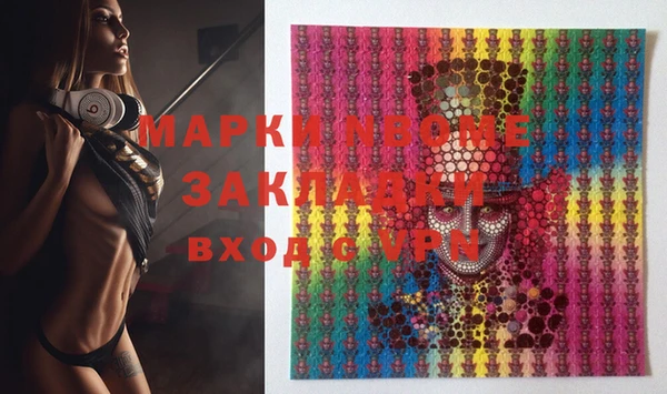 шишки Осташков