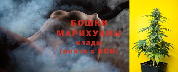 PSILOCYBIN Остров