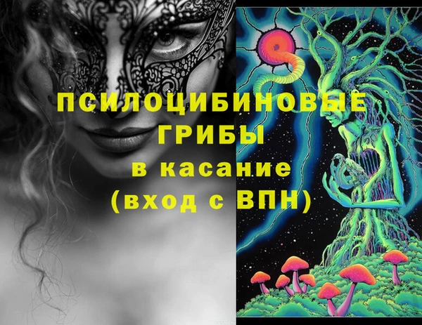 шишки Осташков