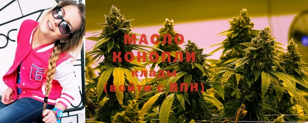шишки Осташков