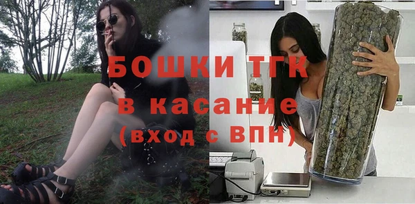 шишки Осташков