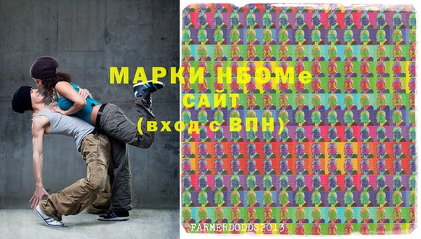 шишки Осташков