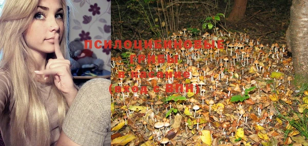 PSILOCYBIN Остров