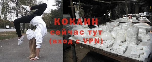 шишки Осташков