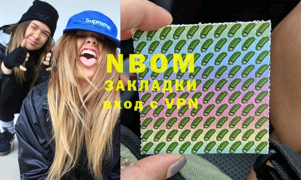 шишки Осташков