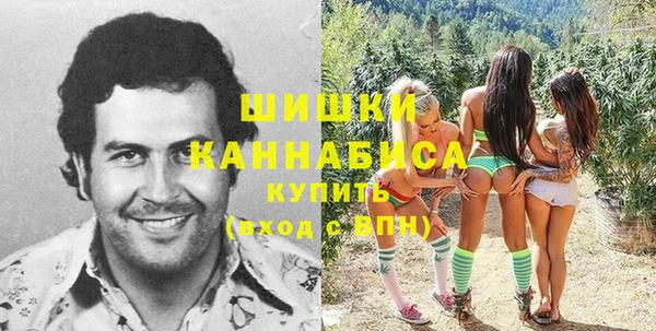 прущие грибы Киров