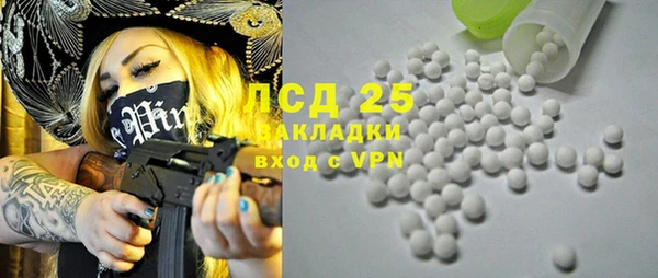 PSILOCYBIN Остров